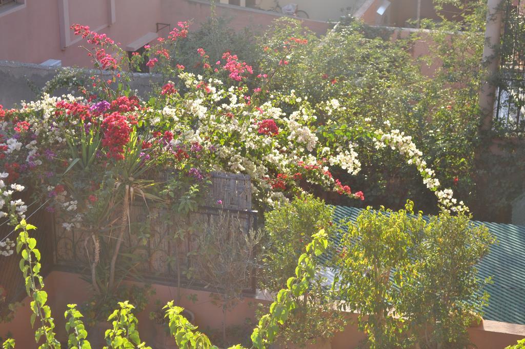 Appartement Andalou Marrakesh Room photo